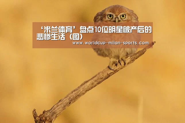 ‘米兰体育’盘点10位明星破产后的悲惨生活(图)(图1) 米兰体育网页版