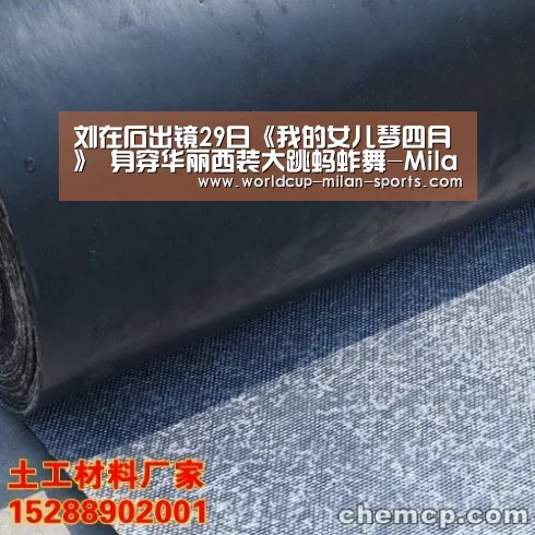刘在石出镜29日《我的女儿琴四月》 身穿华丽西装大跳蚂蚱舞-MilanSport